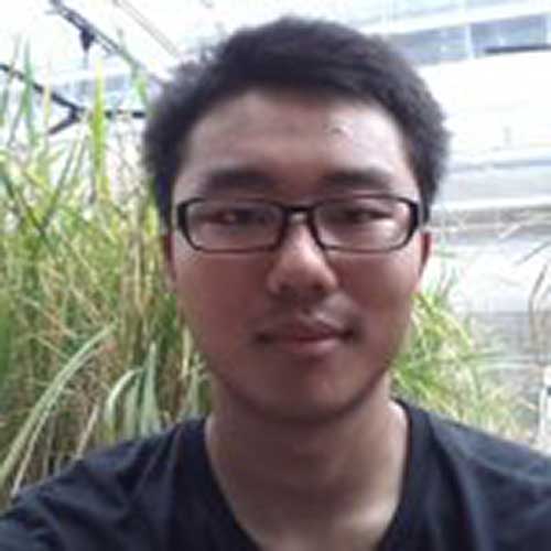 Yang, Xin