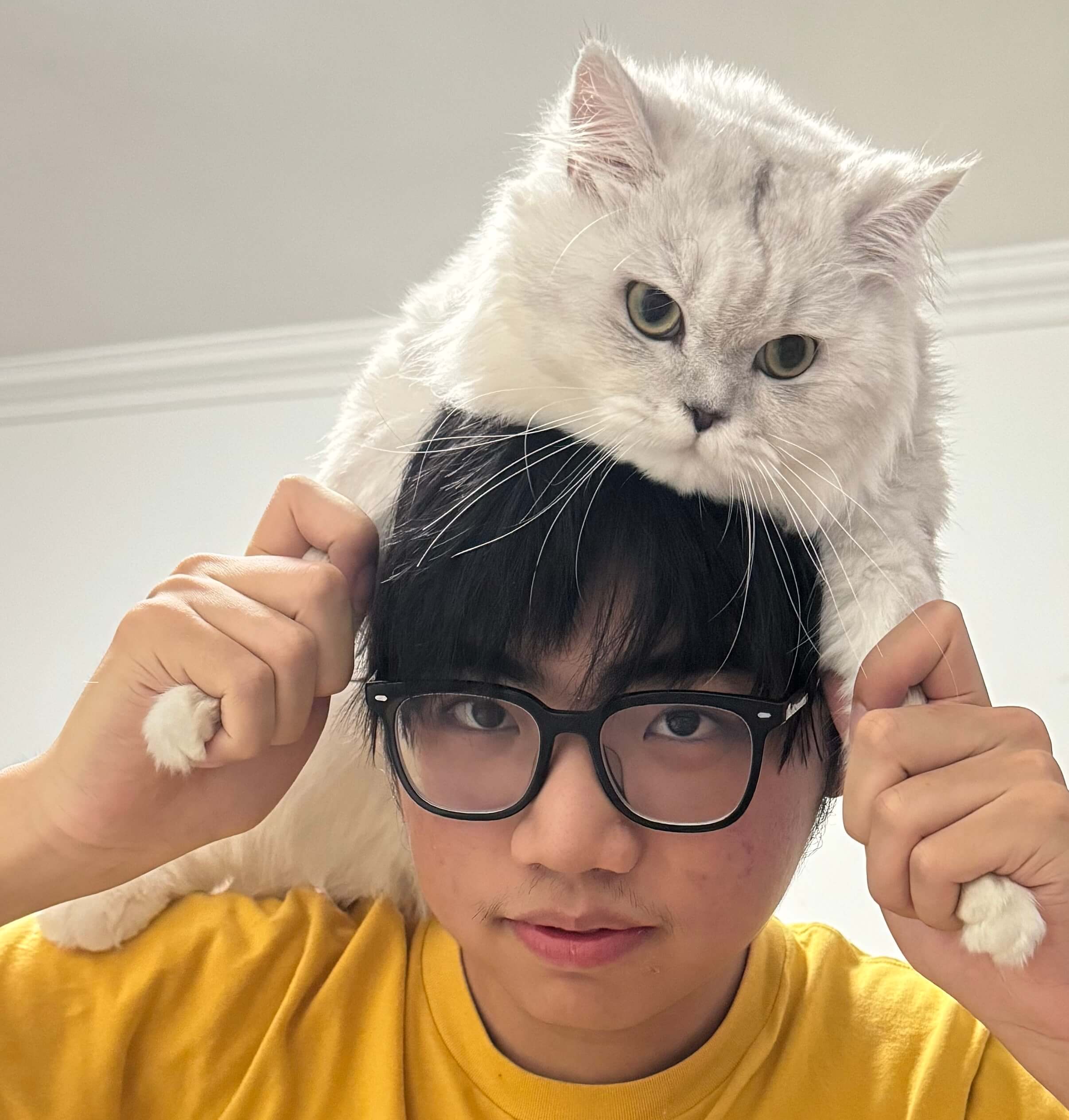 hi~